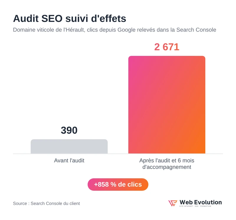 Audit SEO suivi d'effets : clics Google d'un domaine viticole, de 390 à 2 671